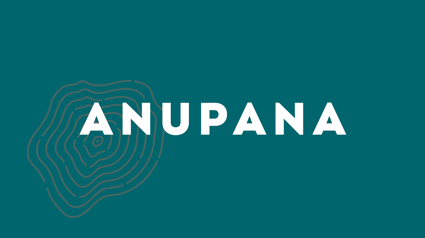 Imagem ilustrativa do post: Case Anupana